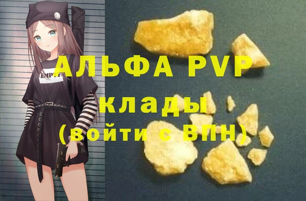 гашик Арсеньев