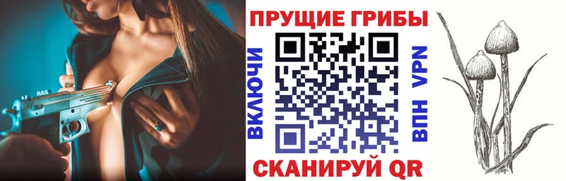 Псилоцибиновые грибы Cubensis  хочу наркоту  Краснотурьинск 